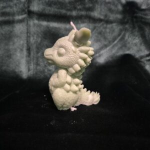 20250214_131933 baby draak