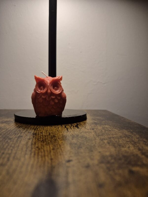 Kaars kleine uil